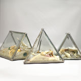 Shell Box - Medium Triangle