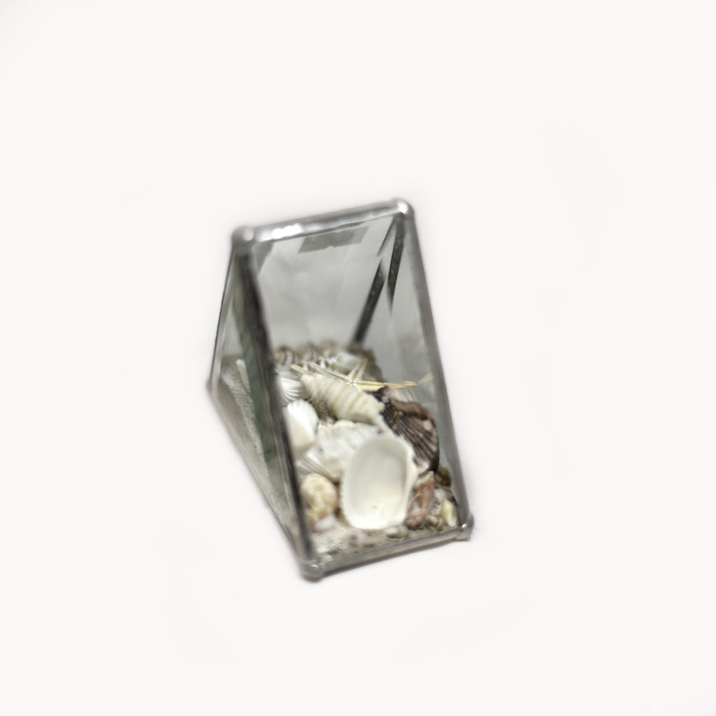 Shell Box - Small Triangle – Eden Living USVI