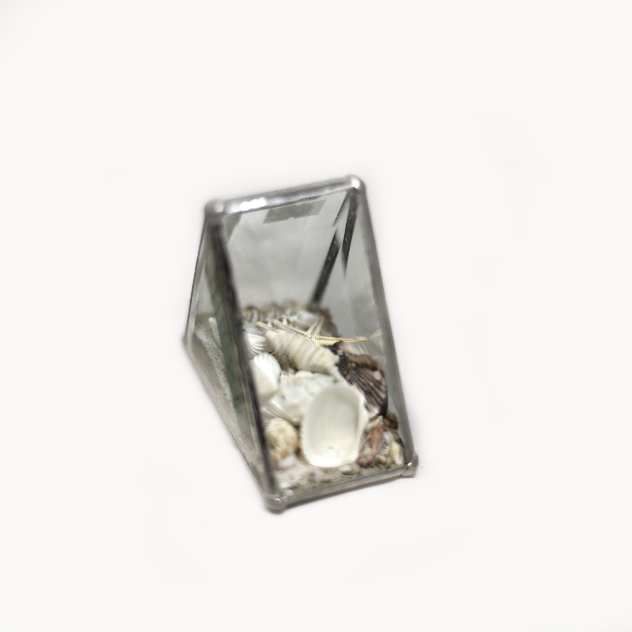 Shell Box - Small Triangle