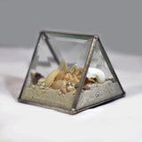 Shell Box - Medium Triangle